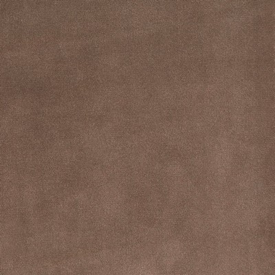 Silver State Lido Fawn