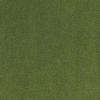 Silver State Lido Garden