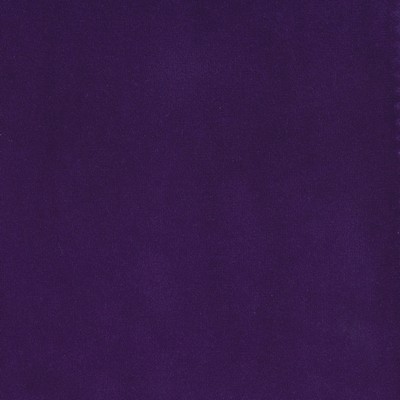 Silver State Lido Iris