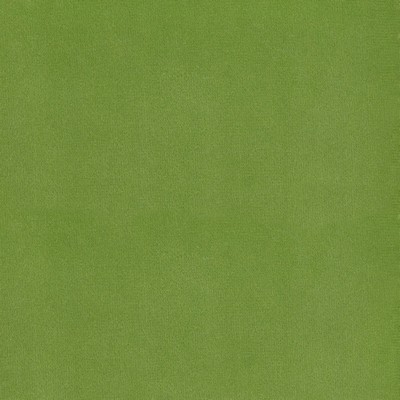 Silver State Lido Kiwi