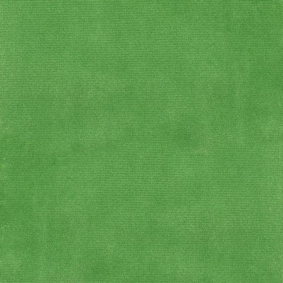 Silver State Lido Lemongrass