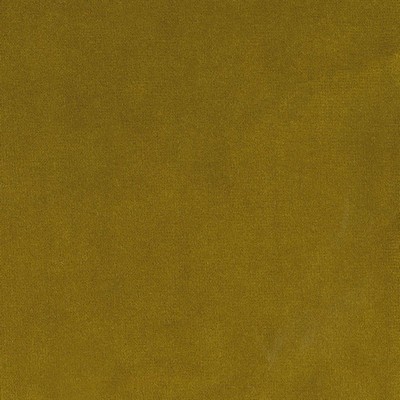 Silver State Lido Mustard