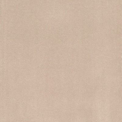 Silver State Lido Oyster