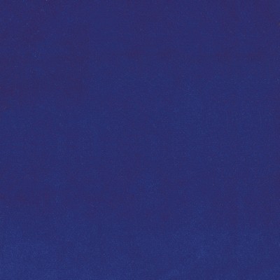 Silver State Lido Petunia