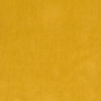 Silver State Lido Sunflower