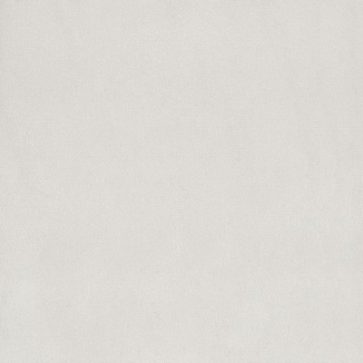 Silver State Lido Swan