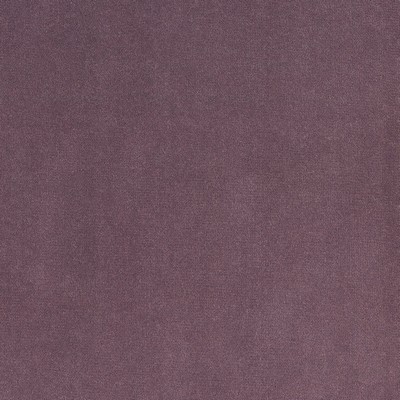 Silver State Lido Thistle