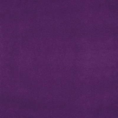 Silver State Lido Violet