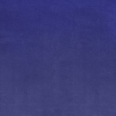 Silver State Lido Wisteria