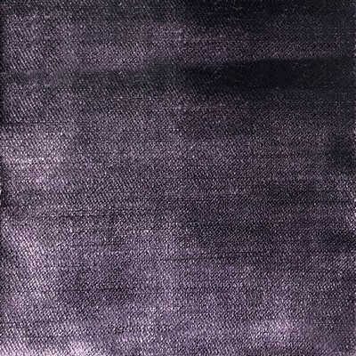 Silver State Lust Eggplant