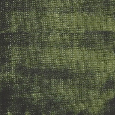 Silver State Lust Forest