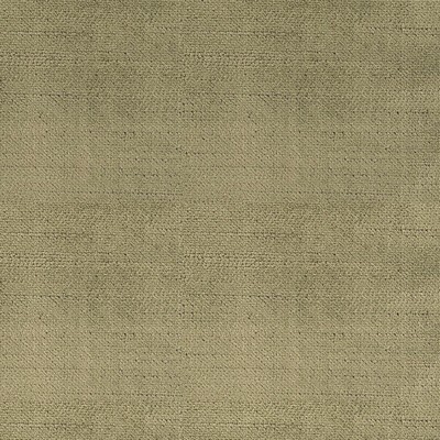 Silver State Lust Olive