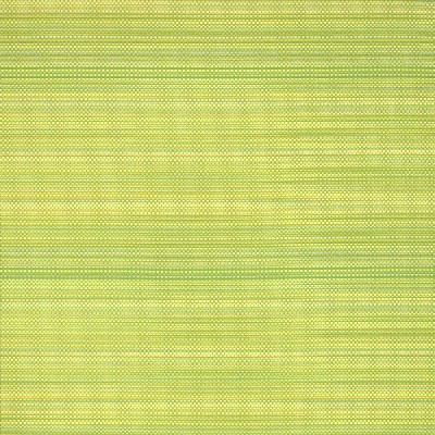 Silver State Magic Lime