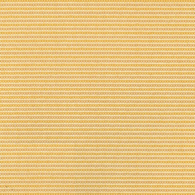 Silver State Minsk Daffodil