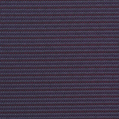 Silver State Minsk Eggplant