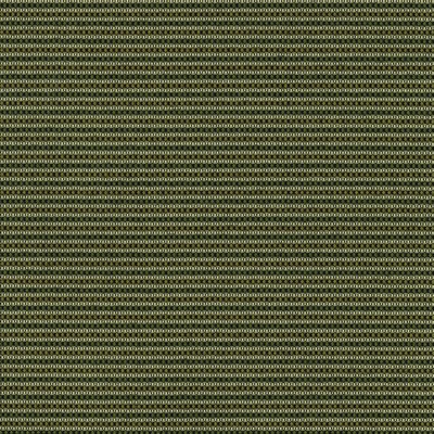 Silver State Minsk Juniper