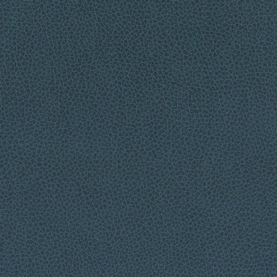 Silver State Nemo Baltic