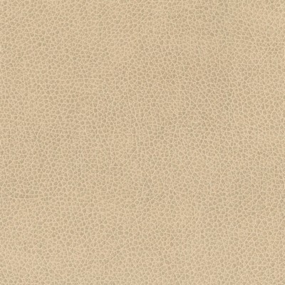 Silver State Nemo Buckskin