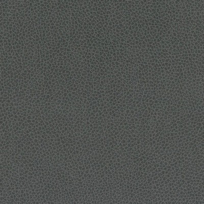 Silver State Nemo Charcoal