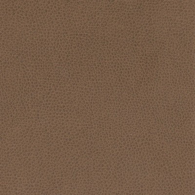 Silver State Nemo Cocoa