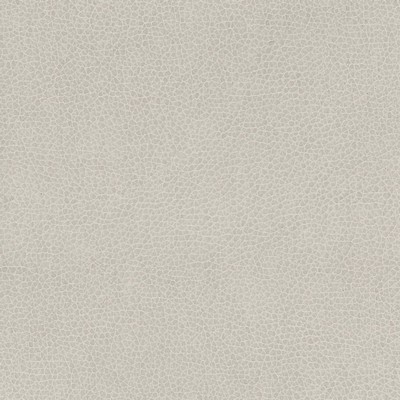 Silver State Nemo Gypsum