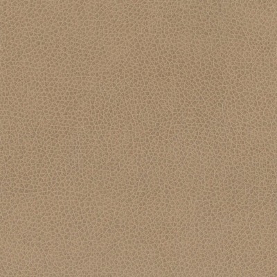 Silver State Nemo Mink