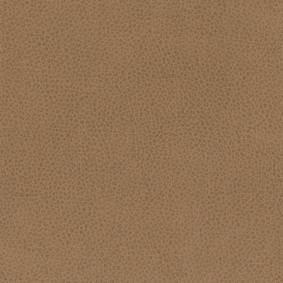 Silver State Nemo Mushroom