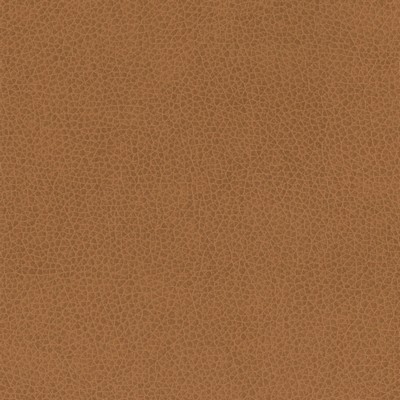 Silver State Nemo Oak