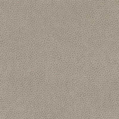 Silver State Nemo Pebble