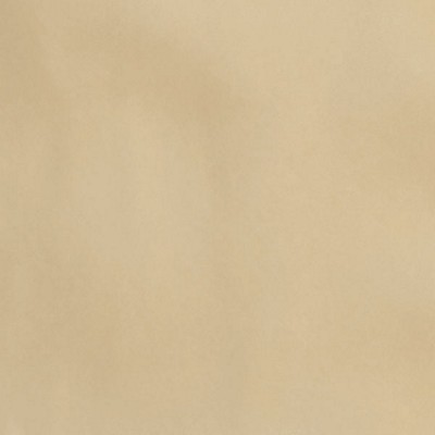 Silver State Nitro Bisque