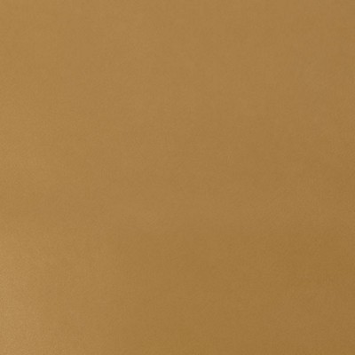 Silver State Nitro Cashew