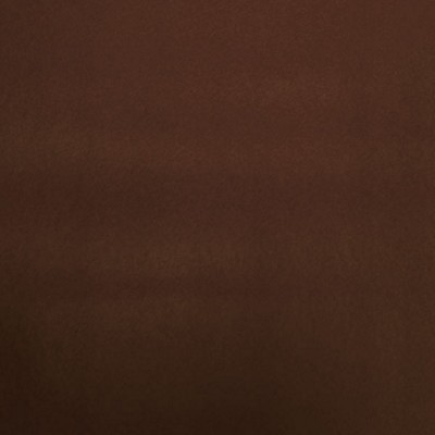 Silver State Nitro Chestnut