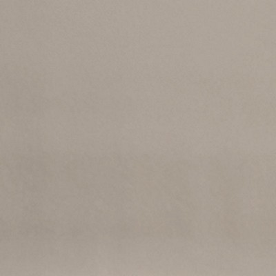 Silver State Nitro Dove