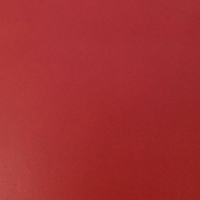 Silver State Nitro Ruby