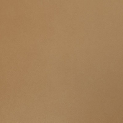 Silver State Nitro Sisal