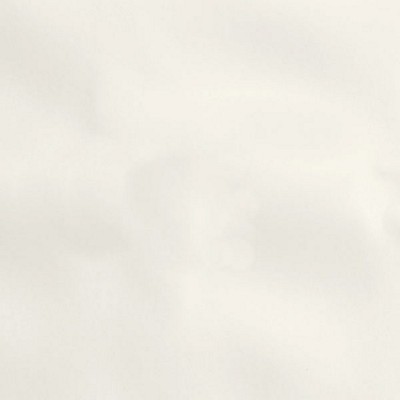 Silver State Nitro Snow