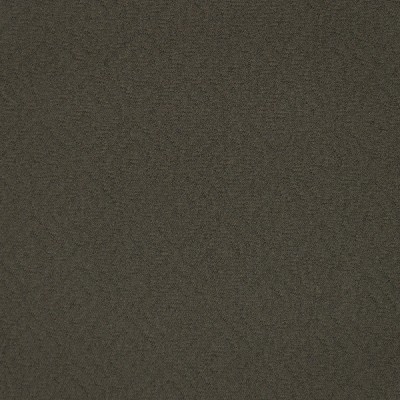 Silver State Obsession Raven