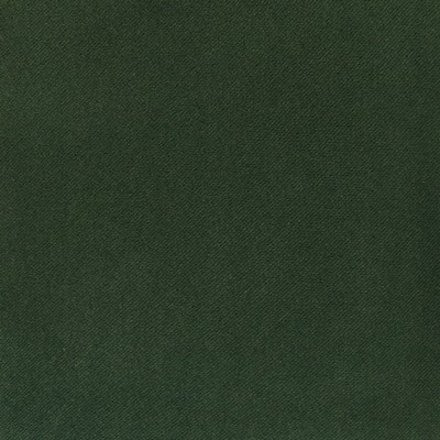 Silver State Parson Evergreen