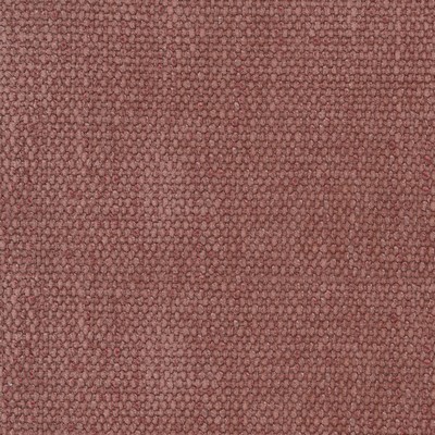 Silver State Rotterdam Coral