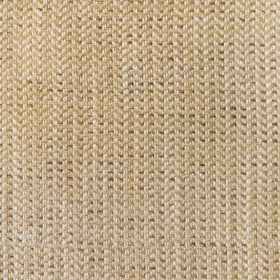 Silver State Saint Camel