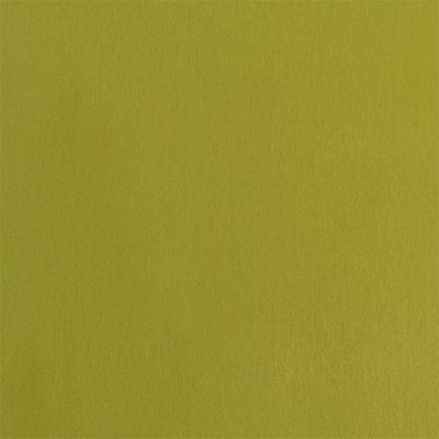 Silver State Siam Celery