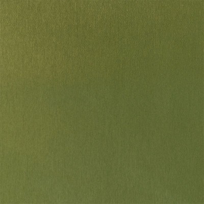 Silver State Siam Grass