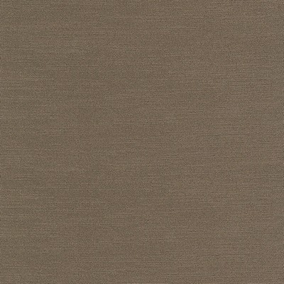 Silver State Slinky Bark