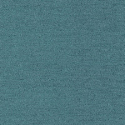 Silver State Slinky Dragonfly