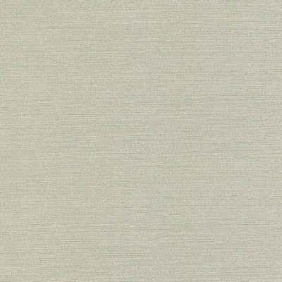 Silver State Slinky Frost