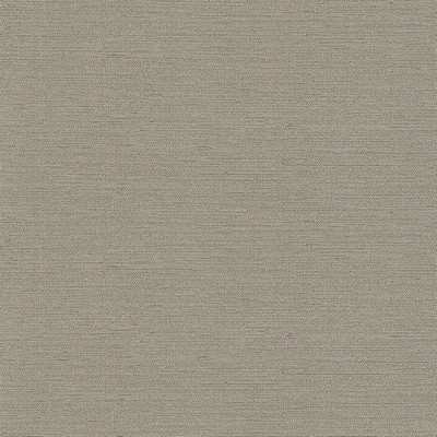 Silver State Slinky Haze