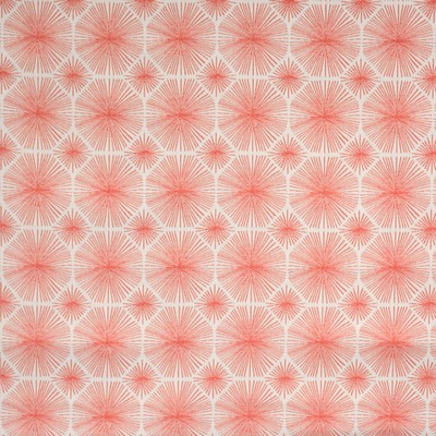 Silver State Sparkler Flamingo