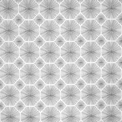 Silver State Sparkler Iridium