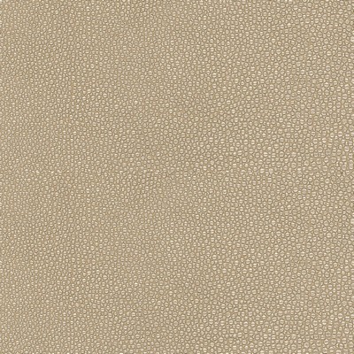 Silver State Stingray Cavern