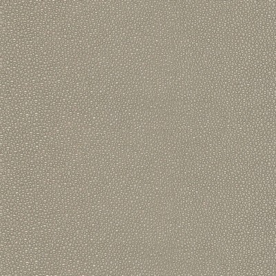 Silver State Stingray Fossil